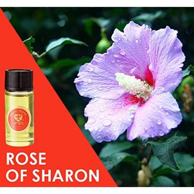 Anointing Oil from Israel - Set of 3 Anointing Oil from Jerusalem - Rose of Sharon, Myrrh and Frankincense, Spikenard Biblical Oils | Total Amount 1oz Anointing Oil Made in Israel by HalleluYAH