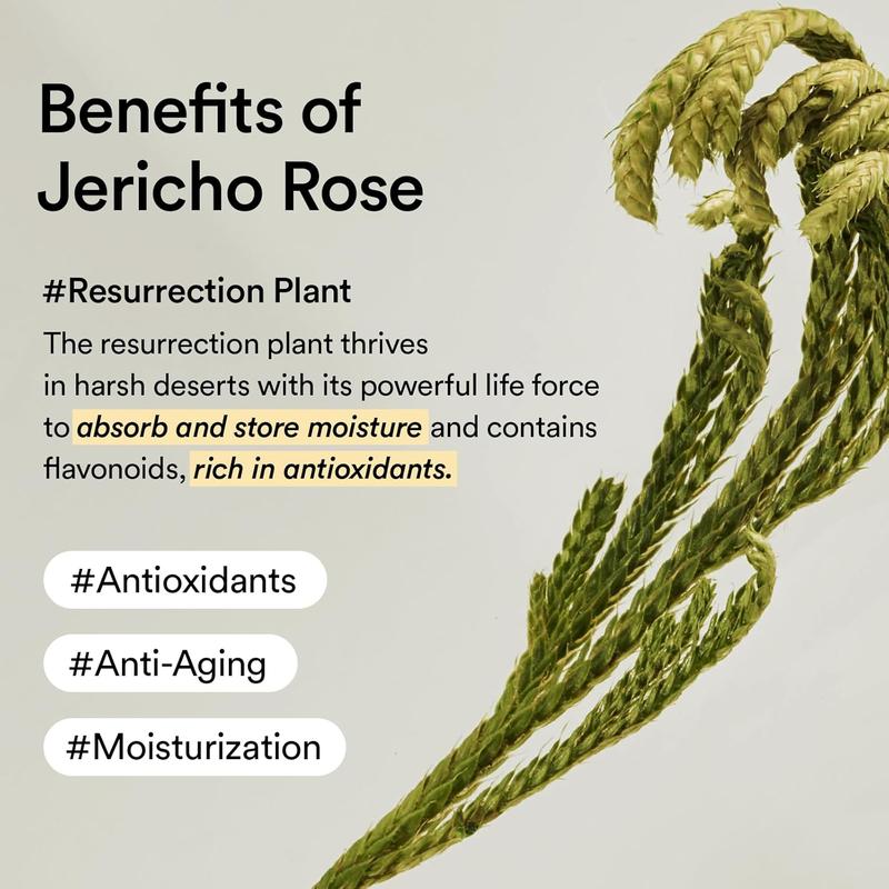 Jericho Rose Jelly Collagen Eye Patch for Puffy Eyes and Dark Circles, Korean Skin Care with Hydrating & Antioxidant Formula - Comfort