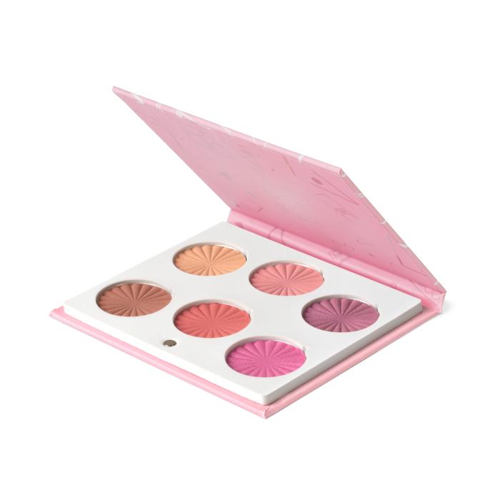 Mini Mix Face Palette - Blushful