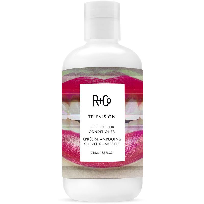 R+Co TELEVISION Perfect Hair Conditioner - Shea Butter, Juniper Fruit Extract for Stronger, Healthier-Looking Hair, 8.5oz