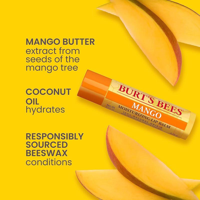 Burt'S Bees Lip Balm Stocking Stuffers, Moisturizing Lip Care Christmas Gifts, Strawberry, Lip Moisturizer with Responsibly Sourced Beeswax, Tint-Free, Natural Origin Treatment (2-Pack) Burt's Bees Burt's Bees