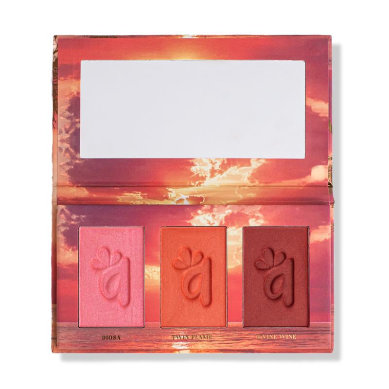 Colorete Blush Trio - Dark Rich